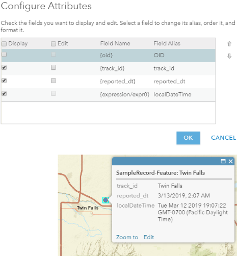 Web Map | Custom Pop-up